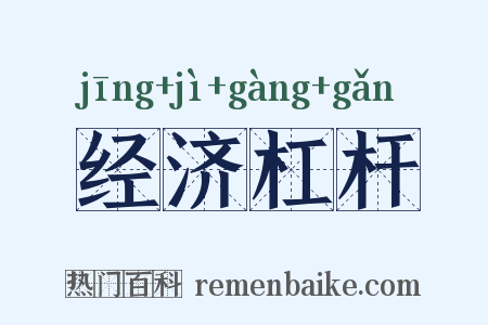 经济杠杆是什么意思的图片